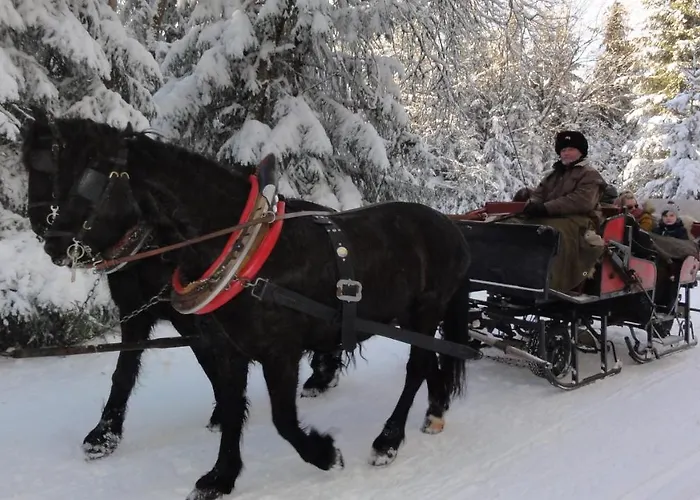Appartement Obstfelderschmiede *